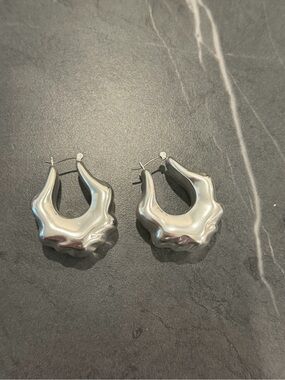 J Crew Silver Statement Earrings